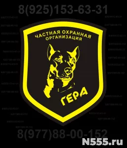 Услуги Охранной Организации